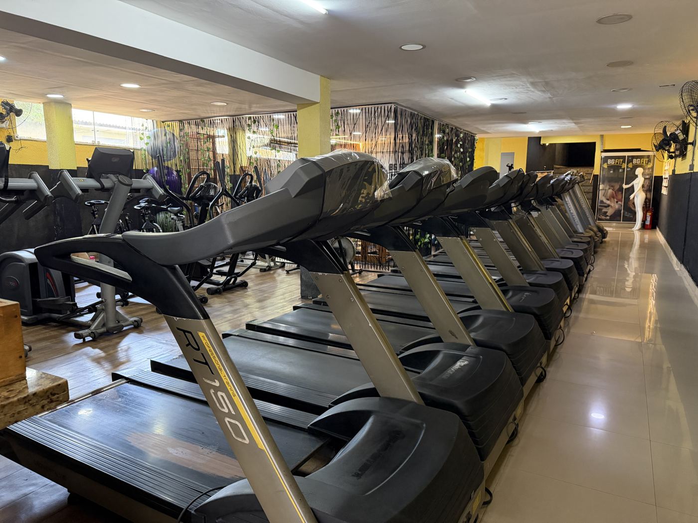 Área de cardio